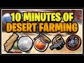 How much can I get from only 10 MINUTES of Desert Farming?