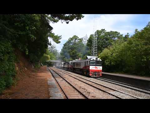 SCT 6MP9 CSR001 SCT001 SCT011 SCT015 CSR011 CSR010