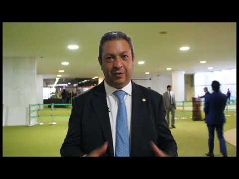 PL poderá garantir a proteção dos animais