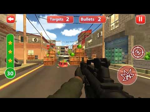 Watermelon Shooting 3D Video