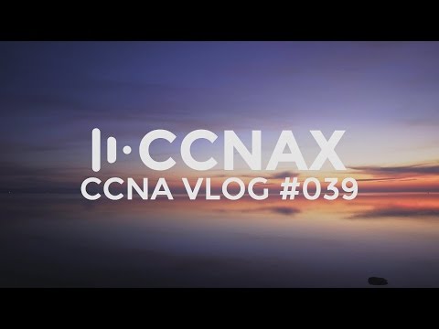 CCNA #039 - OSPF DR, BR and DROTHER Election - do you know the answers?