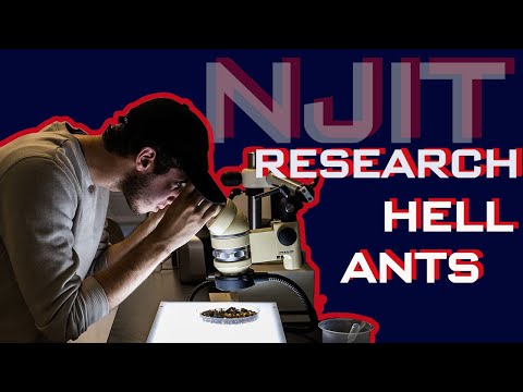download lagu mp3 mp4 Hell Ant, download lagu Hell Ant gratis, unduh video klip Hell Ant