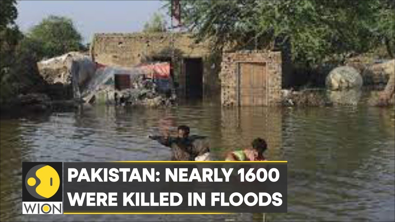 WION Climate Tracker | World Bank: Catastrophic floods drag nine million Pakistanis into poverty