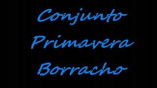 conjunto primavera borracho