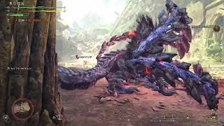 歴戦王アルシュベルト　チャレンジクエストSランク　26.8.14