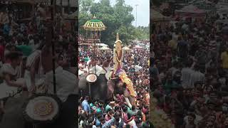 The Festival of Elephants, Thrissur Pooram, തൃശൂർ പൂരം 2023