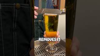 Download lagu The Perfect Beer π€€ mp3 Download lagu The Perfect Beer π€€ mp3