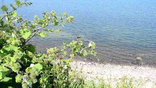 preview picture of video 'Blick von der Steilküste auf die Ostsee'