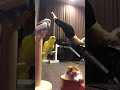 モフモフとムキムキのドラゴンフラッグ