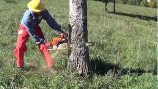 A safer way to fall a tree.