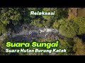 RELAKSASI Suara Sungai Suara Burung Suara Katak Jadi Satu Sound Menenangkan Suara Hutan