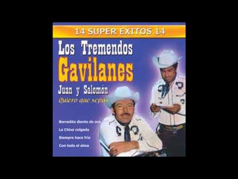 Los Tremendos Gavilanes - Miel Amarga