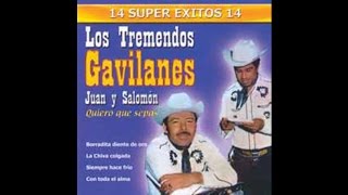 Los Tremendos Gavilanes - Miel Amarga