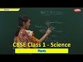 Plants Class 1 CBSE Science Science Syllabus Live Videos Video Training
