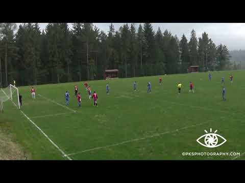 Zalesianka Zalesie II - Starówka Stara Wieś 4:0--- 01.05.2021