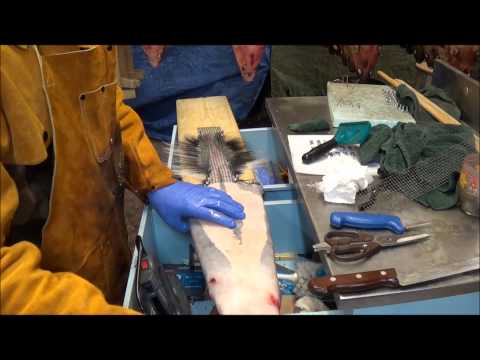 Professional Fur Handling, Skunk  Part 3 Boarding