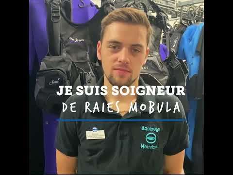 Je suis soigneur de raies mobula
