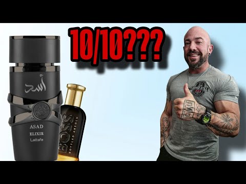 A PERFECT 10 CLONE FRAGRANCE? Lattafa Asad Elixir