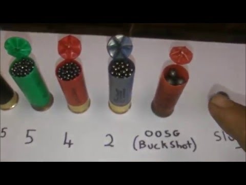 Shotgun Basics, shot size.