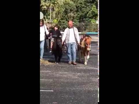 Promotional video thumbnail 2 for Petting Zoo & Pony Rides of Miami