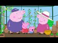 小猪佩奇 Peppa Pig S05E12 Grandpa Pig S Greenhouse