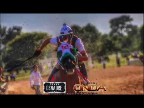 La Despedida del Viejon - La Super Onda Terrible