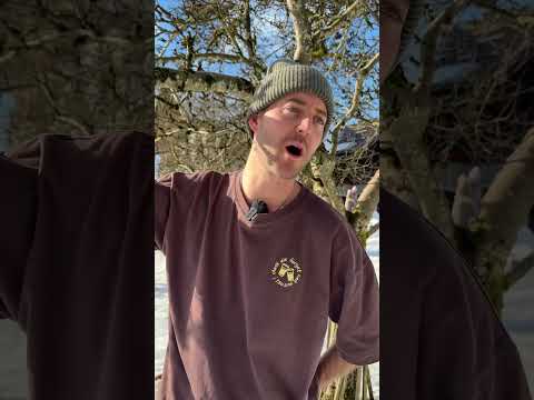 What Austrian dialect sounds like for people that don’t speak it