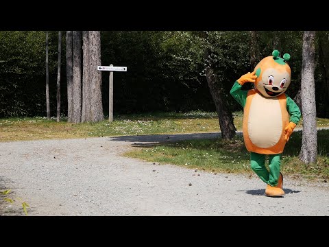 Sunny Boogie Wonderland - Sunêlia le Fief