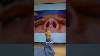 NassifMD Plastic Surgery
