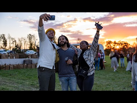 Melio x Marco: Why Melio chooses Marco as their embedded culture partner