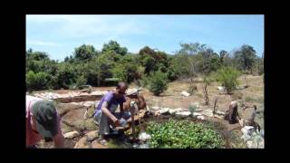 Emerson Lake &amp; Palmer - Living Sin At High Paradise