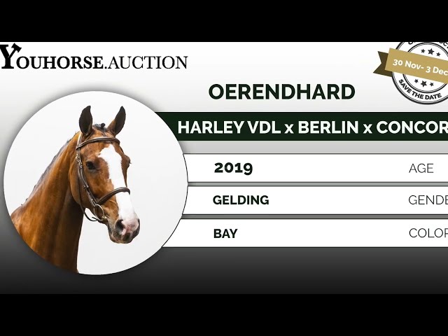 Oerendhard showvideo