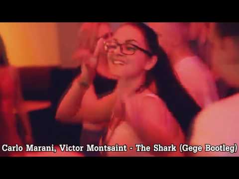 Carlo Marani, Victor Montsaint - The Shark (Gege Bootleg) Official Video