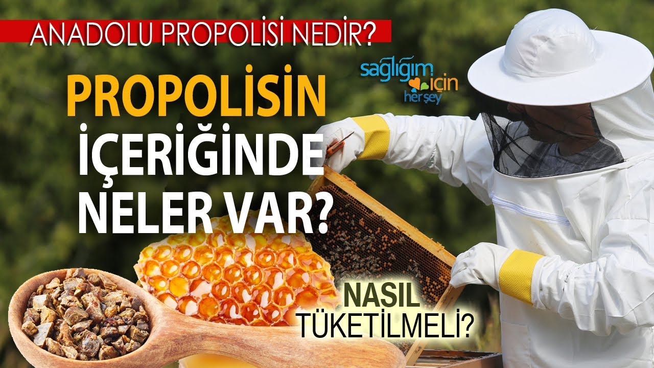 Propolisin Sağlığımıza Faydaları Nelerdir?