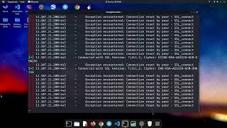 SSL/TLS  Üzerinden Bilgi Toplama | Aktif Tarama