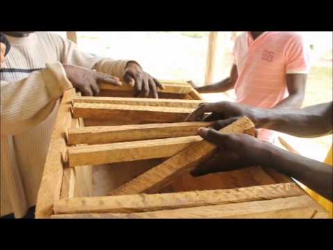 , title : 'How to Construct Kenya & Saltpond Topbar Bee Hives - Peace Corps Ghana