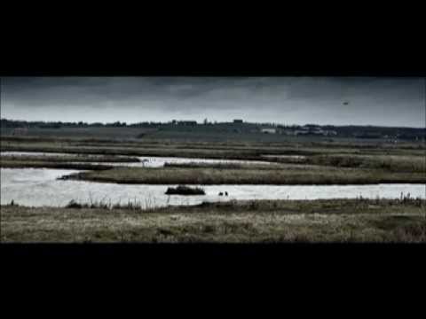 Video $The Hide