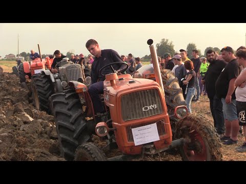 Aratura trattori d'epoca - San Biagio 2025 (Domenica) | Vintage & hot bulb tractors plowing