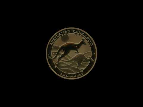 Video - Kangaroo - 2018