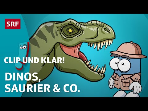 Clip und klar! – Was du über Dinosaurier wissen musst ???? | SRF Kids – Kindervideos