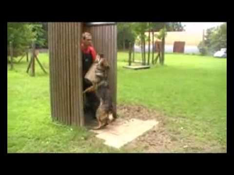 EYSCHA AYKMAR - defence - 12 months, helper: Peter Mitter, Martin Uřičář, www. aykmar.cz