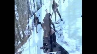 Atrium Noctis - Spuren eines Wolfs