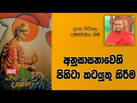 Darma Dakshina 2019.08.07 - Pitigala Dammawinitha Himi