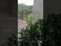 Mehfil Me Kaise Kehde Kisi Se Whatsapp Status Rimjhim Oldsong Shortvideo