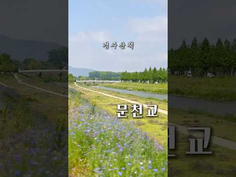 #경주산책 #문천교 #천천히걷기
