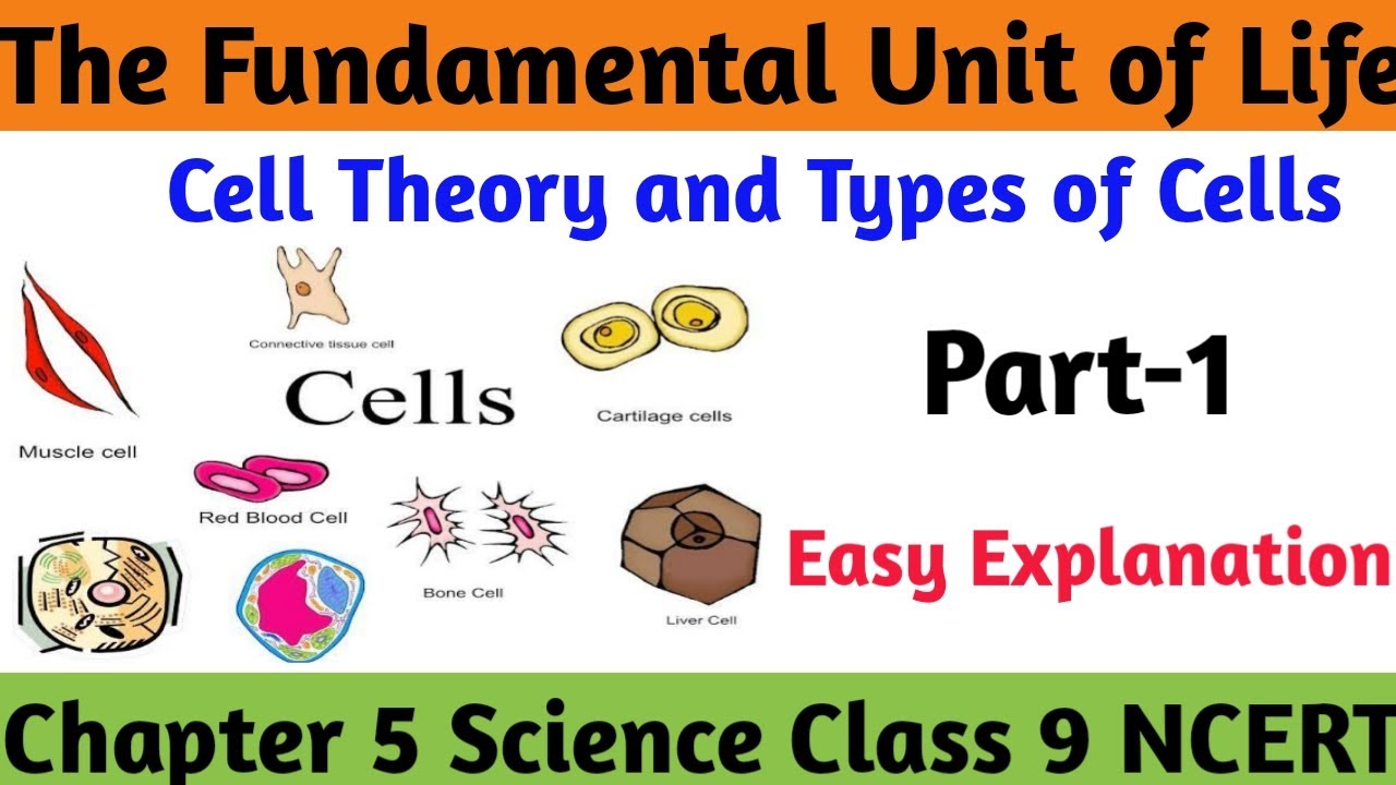 The Fundamental Unit of Life || What are Living Organisms Made Up of? || CBSE CLASS 9 NCERT SCIENCE