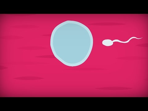 image-How many days after my period can I get pregnant?