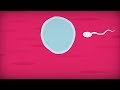 When To Have Sex To Get Pregnant