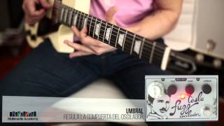 Video thumbnail for Lee De Forest Tesla Fuzz Oscilador - Review by Multimedia Academy