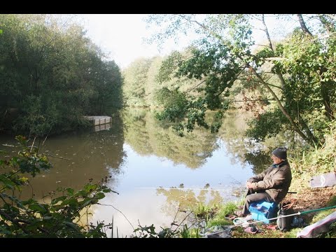 Ray Walton - KINGSBRIDGE LAKES, ORGANFORD, DORSET